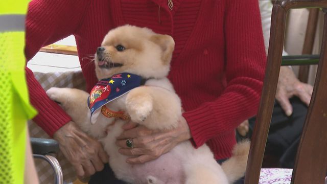 無綫新聞 TVB News