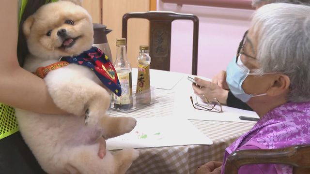 無綫新聞 TVB News