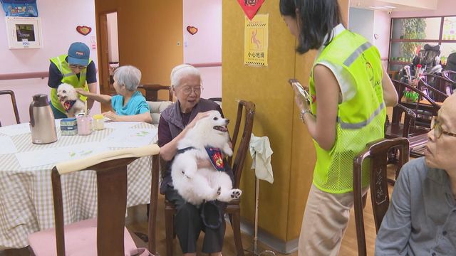 無綫新聞 TVB News