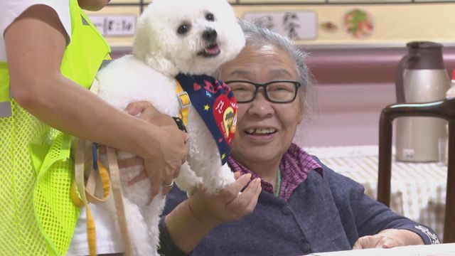 無綫新聞 TVB News
