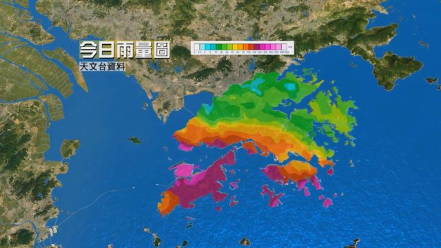 無綫新聞 TVB News