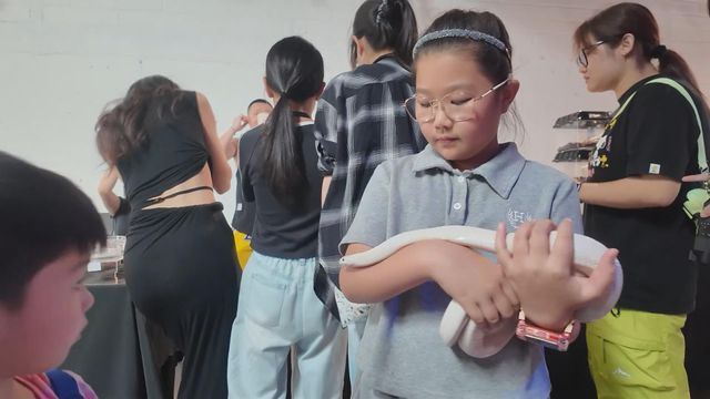 無綫新聞 TVB News