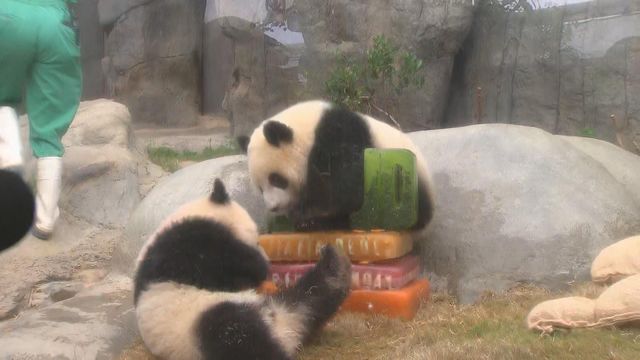 無綫新聞 TVB News
