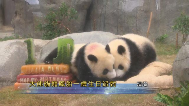 無綫新聞 TVB News