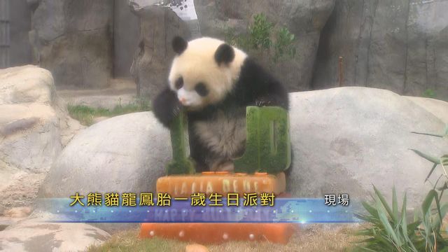 無綫新聞 TVB News