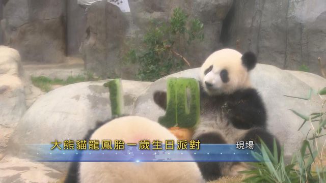 無綫新聞 TVB News