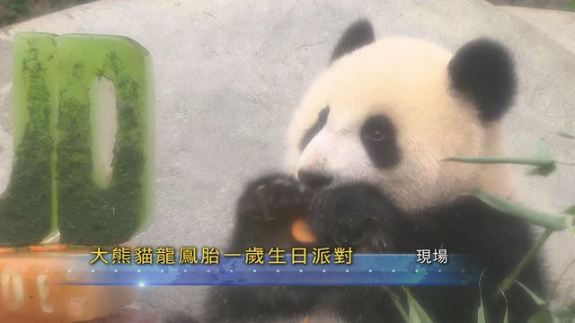 無綫新聞 TVB News