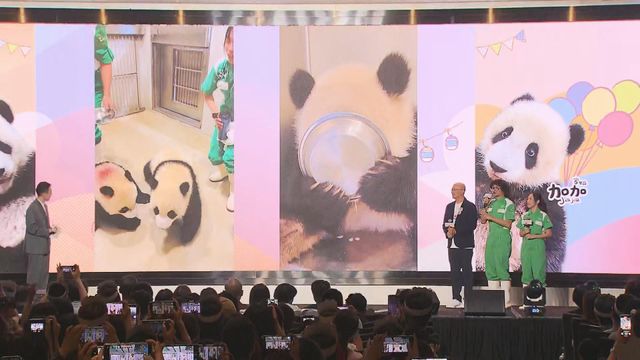 無綫新聞 TVB News