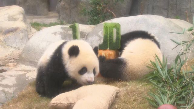 無綫新聞 TVB News