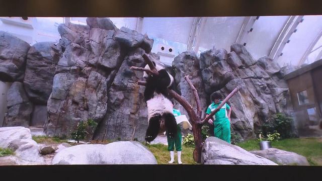 無綫新聞 TVB News