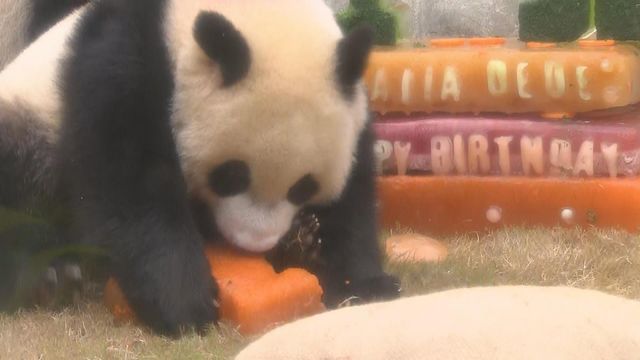 無綫新聞 TVB News