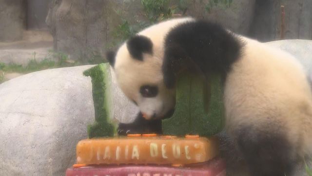 無綫新聞 TVB News