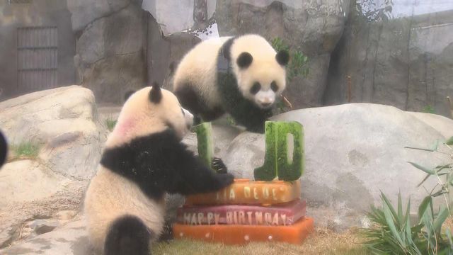 無綫新聞 TVB News