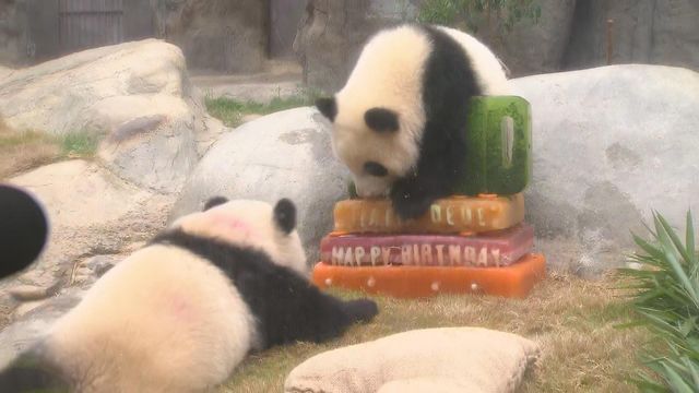 無綫新聞 TVB News