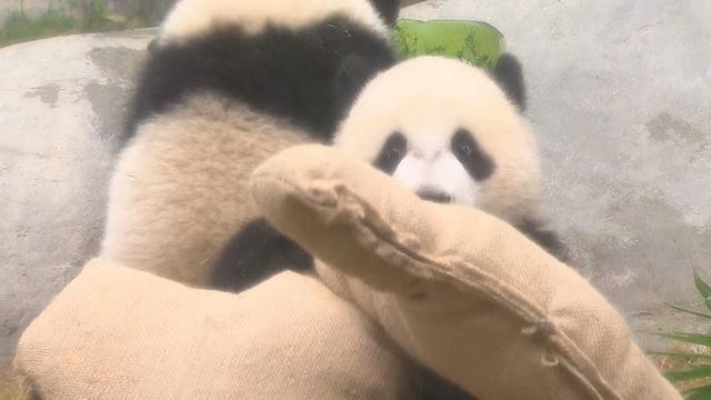 無綫新聞 TVB News