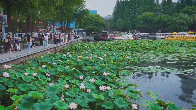無綫新聞 TVB News