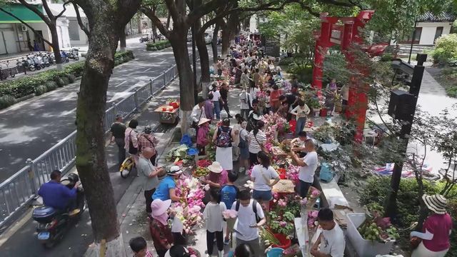無綫新聞 TVB News