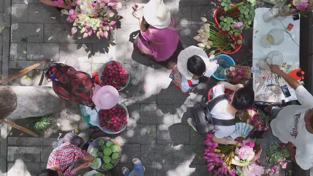 無綫新聞 TVB News