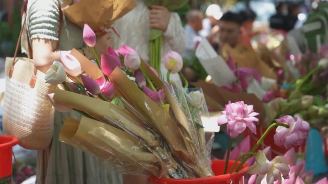 無綫新聞 TVB News