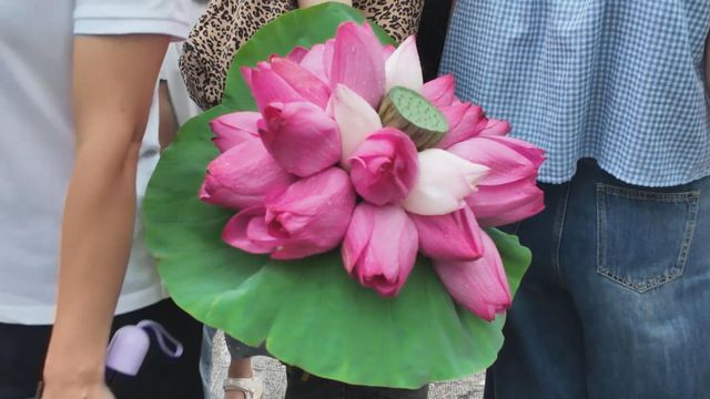 無綫新聞 TVB News