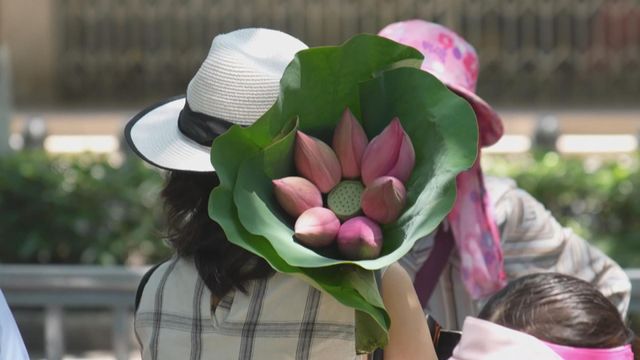 無綫新聞 TVB News
