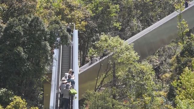 無綫新聞 TVB News 無綫新聞 TVB News