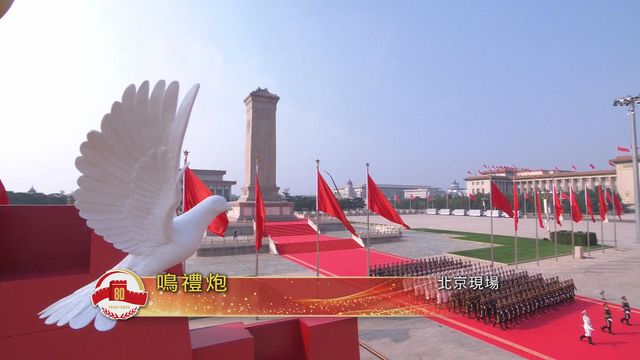 無綫新聞 TVB News