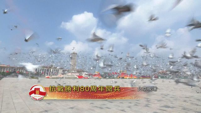 無綫新聞 TVB News