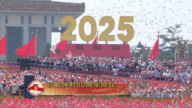 無綫新聞 TVB News