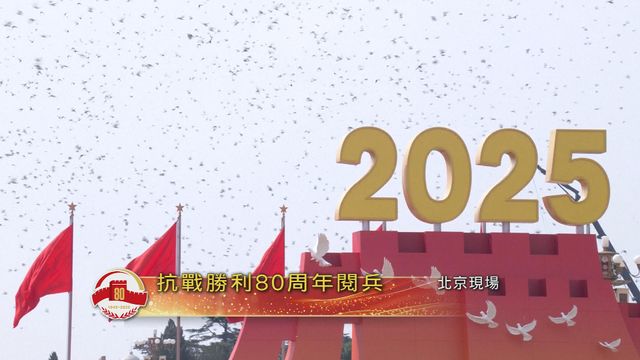 無綫新聞 TVB News