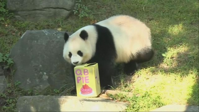 無綫新聞 TVB News