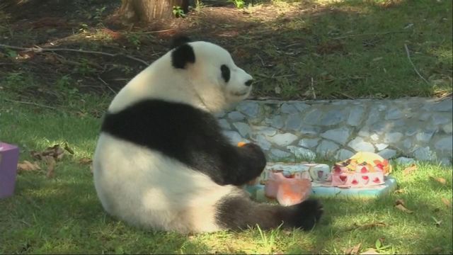 無綫新聞 TVB News