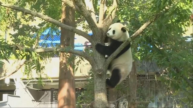 無綫新聞 TVB News