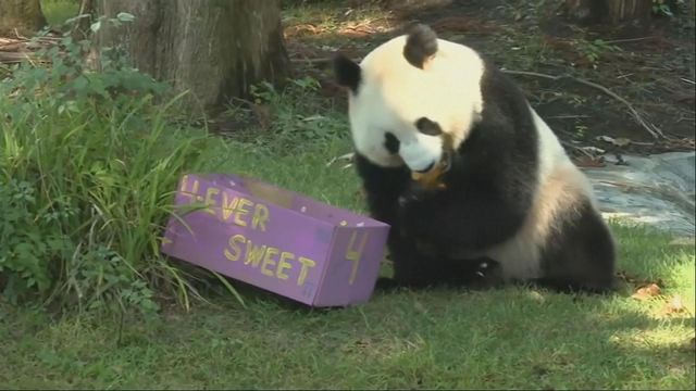 無綫新聞 TVB News
