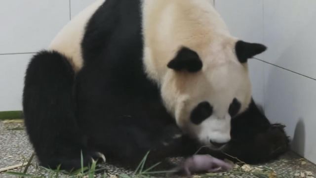 無綫新聞 TVB News