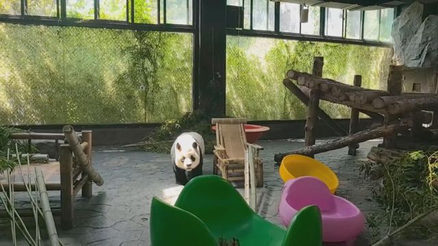 無綫新聞 TVB News