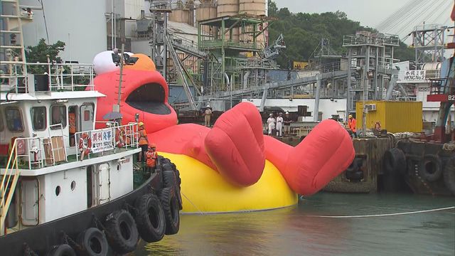 無綫新聞 TVB News