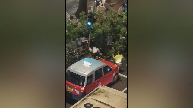 Tree collapse injures 3 people outside Sheung Shui Station