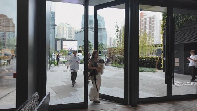 時事多面睇｜寵物食肆成業界出路？