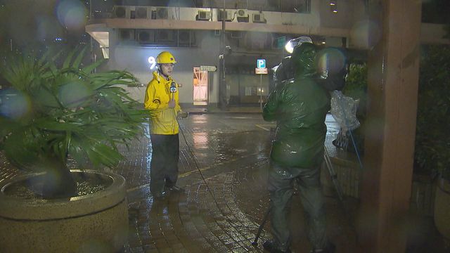 無綫新聞 TVB News