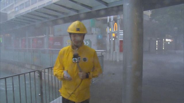 無綫新聞 TVB News