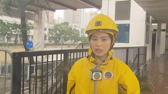 無綫新聞 TVB News