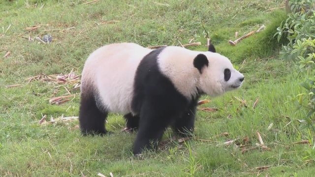 無綫新聞 TVB News