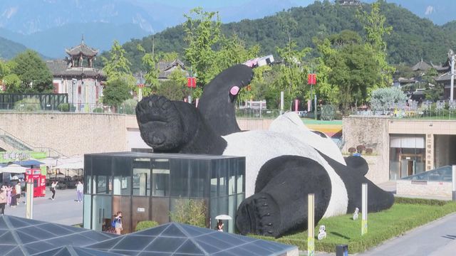 無綫新聞 TVB News