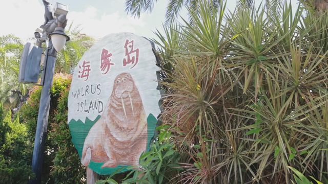無綫新聞 TVB News