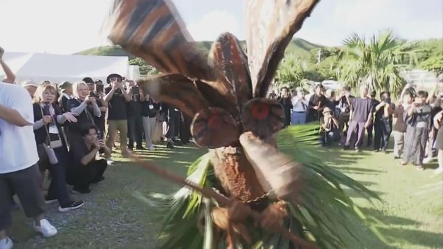 無綫新聞 TVB News