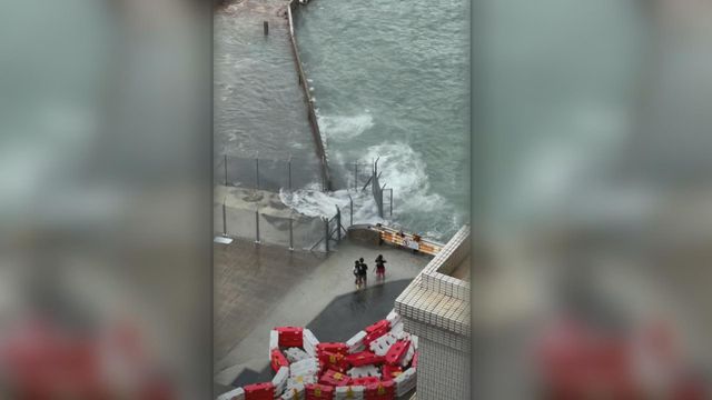 風暴樺加沙｜警方拘兩人　涉風暴期間帶兩名小朋友觀浪