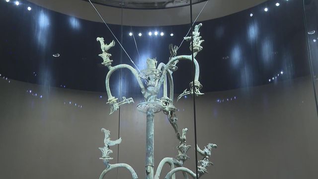 無綫新聞 TVB News
