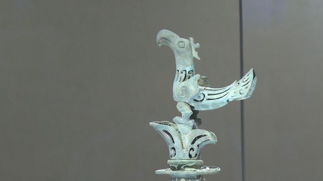 無綫新聞 TVB News