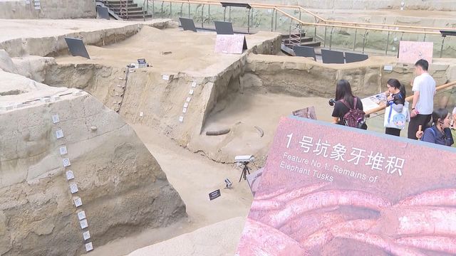 無綫新聞 TVB News